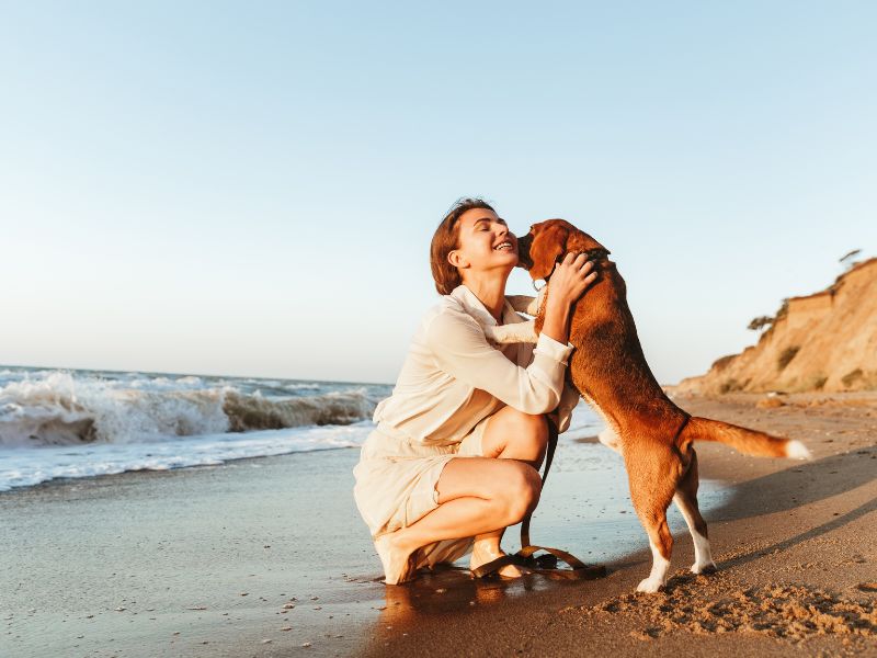boutique dédiée aux accessoires uniques pour chien